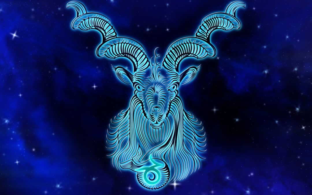 Star Sign Capricorn