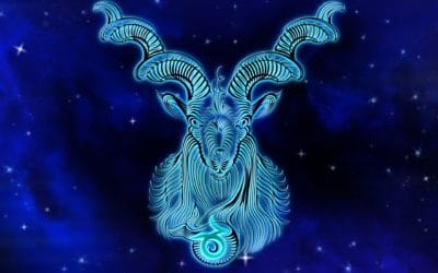 Star Sign Capricorn
