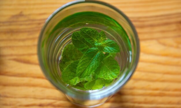 Green Tea Herbal Remedy