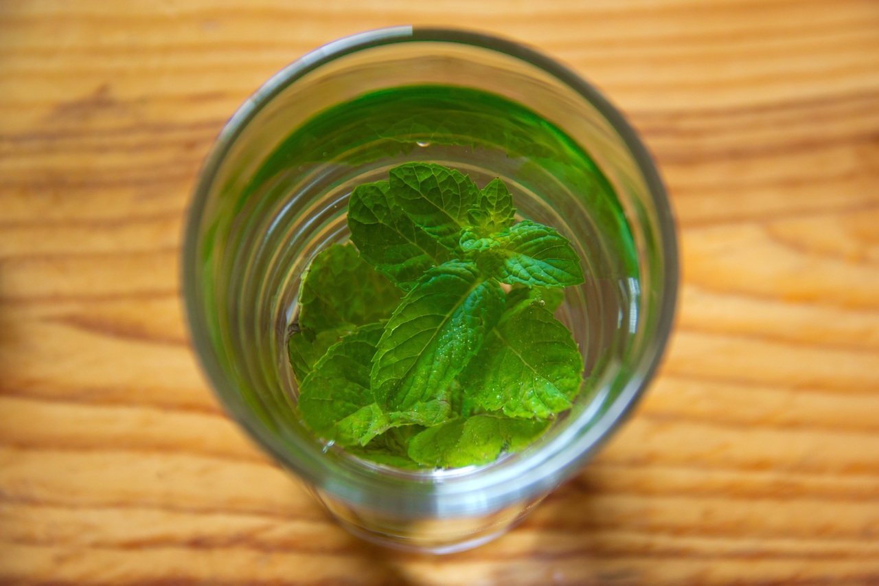 Green Tea Herbal Remedy Green Tea Herbal Remedy